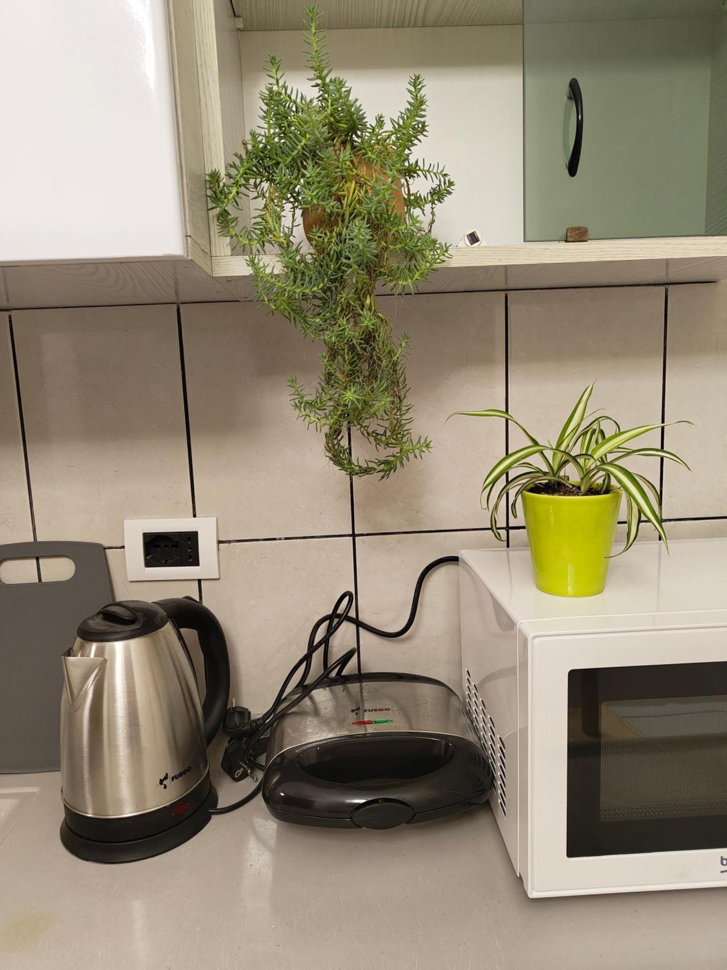 Erli Apartment Shkodër 外观 照片